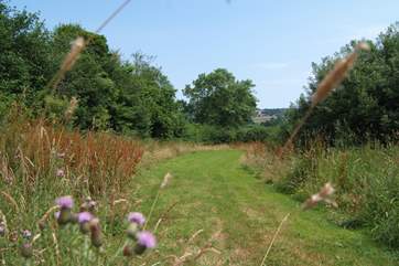 Your four-legged friends will love that they have their own paddock to race around in, right next to the terrace.