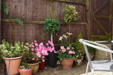 The courtyard garden is a real sun trap.