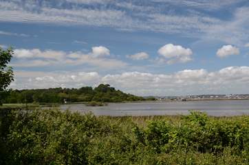 Dorset Wildlife Trust manage the lagoon on Brownsea Island, breeding ground for many species of bird, a day boat trip can include a tour of Poole harbour too. The lagoon has a webcam.