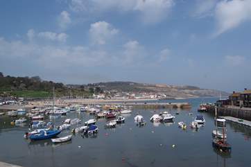 Branscombe is close to the Dorset border - this is Lyme Regis - just a short drive away and great for a family day out.