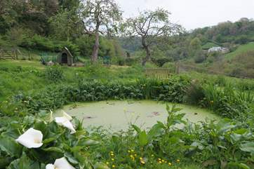 The pond is a pretty feature but do watch young children.