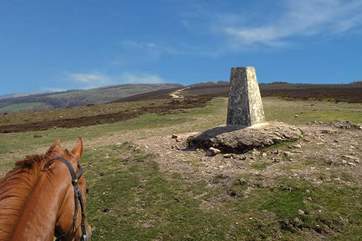 This could be you! High up on the Quantocks above Bashford Lodge.