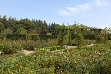 RHS Rosemoor Gardens are an excellent day out.