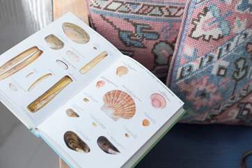 You may need this to identify your finds from the beach......