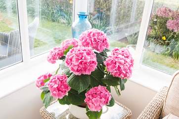 Pretty plants add colour.