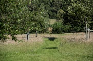 This little path leads you through an orchard and up to Lady's Well Shepherd's Hut.