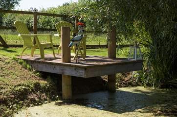 You are welcome to fish in the pond which is about 10 feet deep, but all fish must be safely returned to the water.