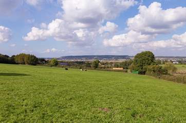 This is the setting you will be treated to. There are distant sea views from the viewing platform at the top of the field above the shepherd's hut.