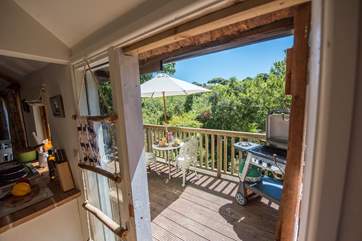 The view from the front door up high in the trees.