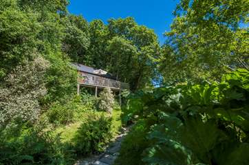 Another angle looking up to The Cabin from the beautiful garden below.