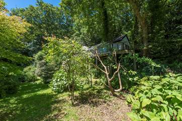 Looking towards The Cabin from the garden below which you are welcome to use.