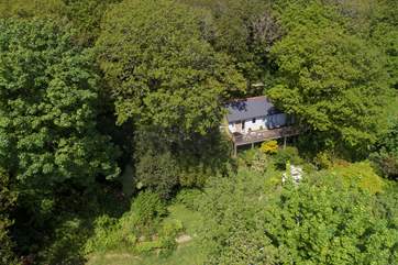 The Cabin is situated in a very special spot at Wrinklers Wood.