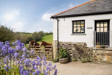 This cute semi-detached barn is surrounded by fields and the rolling hills on the Penrose Estate.