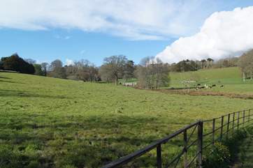 The Penrose Estate wraps around the lake at Loe Bar, such a pretty area to explore with paths through the woods.