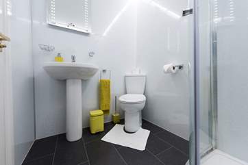 The ground floor shower-room.
