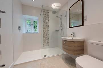 The huge walk-in shower.