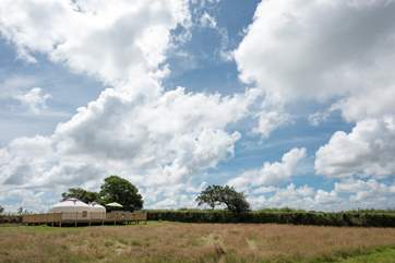 There is plenty of space in the meadow for children to play.