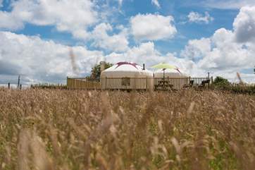 Sat in an acre meadow, which was still maturing at the time of this photo due to the very new installation (June 2016), but there is plenty of areas for children to play.