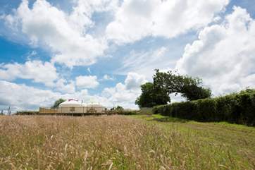 Looking back towards Rosewood from the far corner of the meadow.