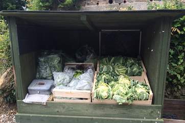 Stop at the local farm veg stall to see what is on offer today, fresh and locally grown.
