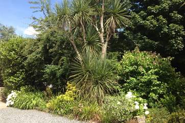 To the front of the house the pretty gardens and borders surround the driveway.
