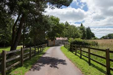 The Coach House Stables is approached down a beautiful drive, lined with copper beech trees.