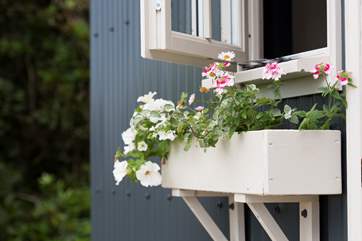 Pretty window box.