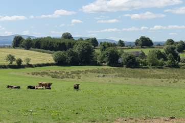 This is the view you will have over the fields from your garden.