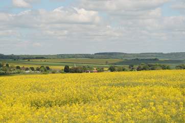 The pretty village of Hindon situated within the Cranborne Chase and West Wiltshire Downs AONB is surrounded by beautiful countryside.