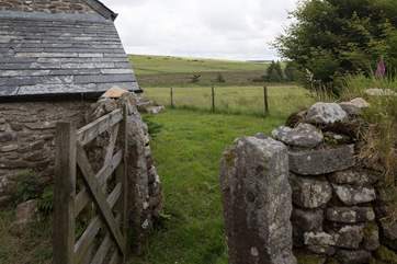 You are truly on the moor.