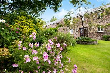 The garden in summertime.