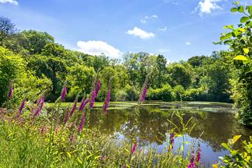 A short stroll takes you to the lake which is situated in the grounds.