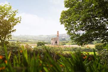 Apart from the Owners and one other cottage, your nearest neighbours are the old mining engines.