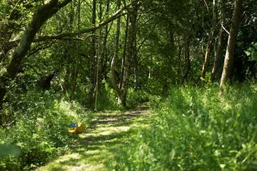 There is even a swing or two on the various walks around Roseland Valley Retreat.