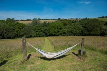 Take a stroll up to this hammock and spend the day enjoying peace and tranquility!