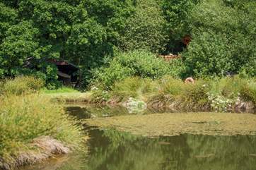 Roseland Valley Retreat is tucked into the woodland and faces over a lake. The cabin and safari tent are just a few steps away from each other.