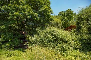 The safari tent is peeping through the woodland to the left and the cabin to the right - a most special place to stay.
