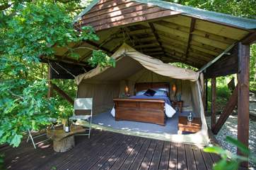 The safari tent is tucked under a magnificent oak tree and has a wooden deck to the front.