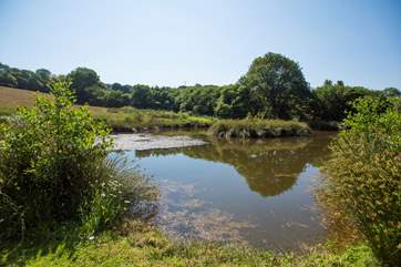The lake has a mown path all around, and similar paths are mown across the fields.