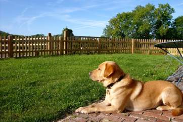 There are some lovely local footpath walks from the farmstead, especially to the pub in the next village !