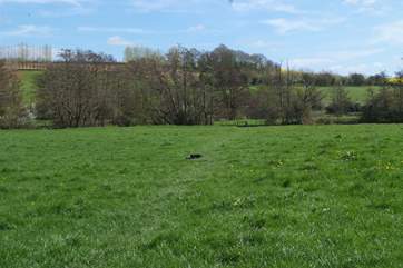 As well as your own enclosed garden, there is a lovely paddock next to the cottages and local footpaths and riverside walks nearby.