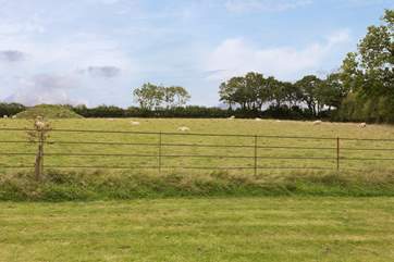 This is the outlook from your garden. The resident sheep will happily watch you from the meadow.