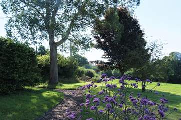 Looking from the dining terrace along the little woodland path.