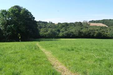The mown path down to the games area.