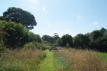 A mown path follows on from the woodland path, through through the meadow to....?