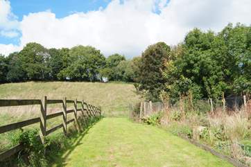 There is so much space for children to explore. This paddock is next to the gardens and at the top is a tree house with professionally installed zip wire (a Disclaimer is provided for you to sign)