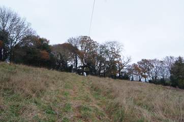 This paddock comes with a tree house and properly fitted zip wire. Please supervise children at all times - a Disclaimer is provided for you to sign.
