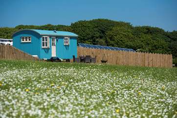 Mount View Retreat in all its glory.