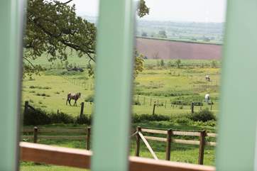 With views like this, you may not ever want to leave!