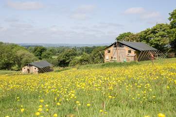 What a fabulous setting, the wild flower meadow is your to play in.